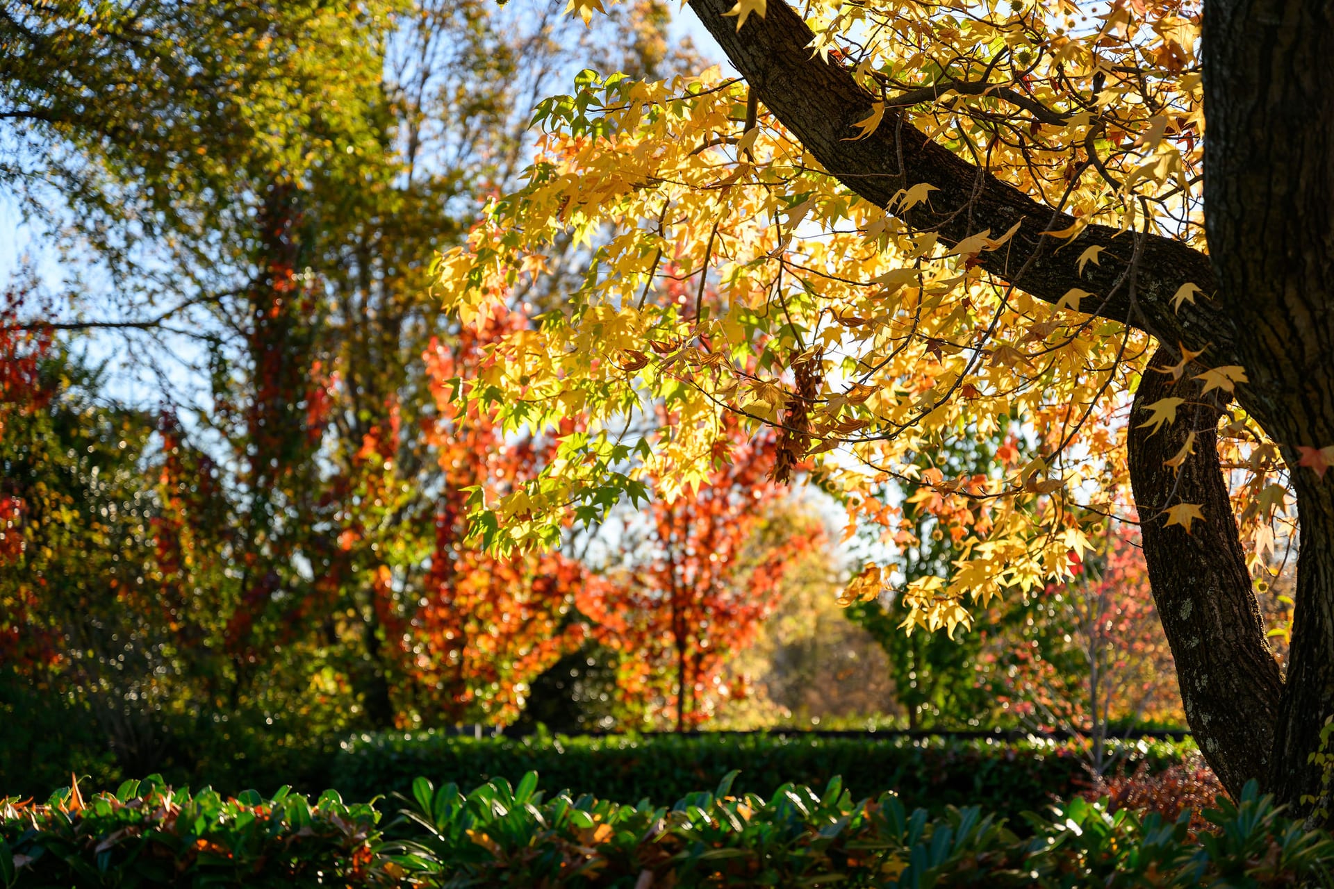 Ambervale Boutique Hotel — landscaped grounds and historic building