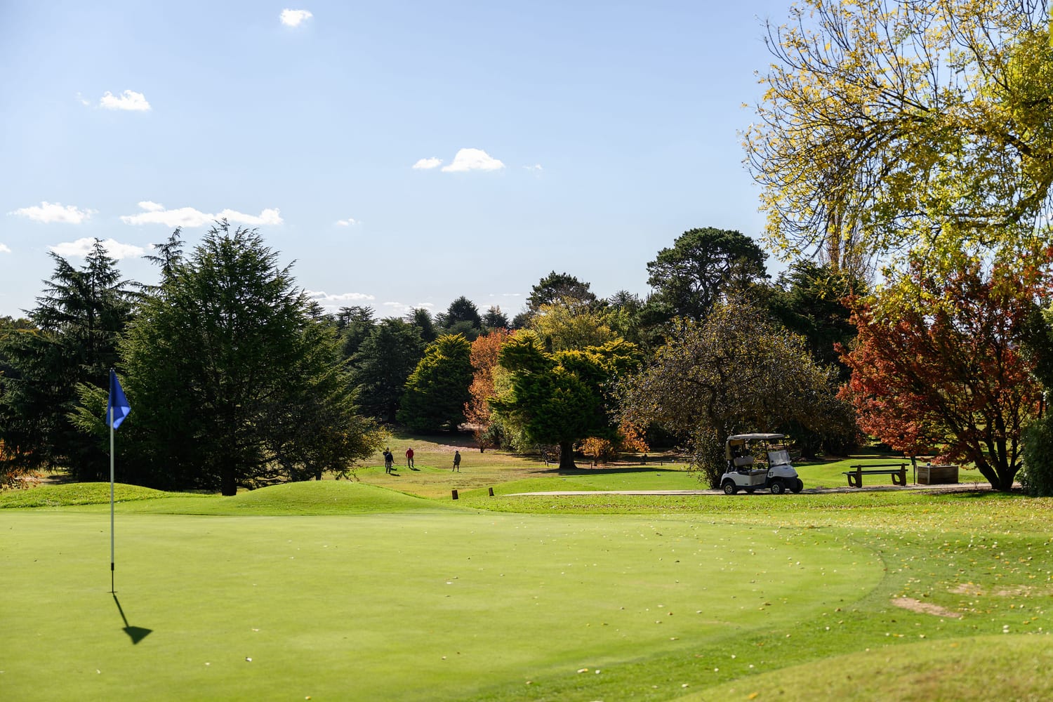 The grounds at Ambervale